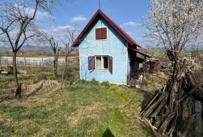 Casă cu 3 camere cu Teren 3300 Mp în Coltău - 16