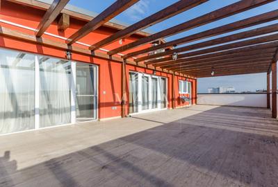 Penthouse cu 4 camere decomandat în Mihai Viteazul - 13