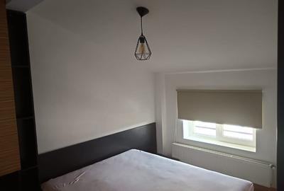 Apartament cu 2 camere nedecomandat, mobilat în Șagului - 3
