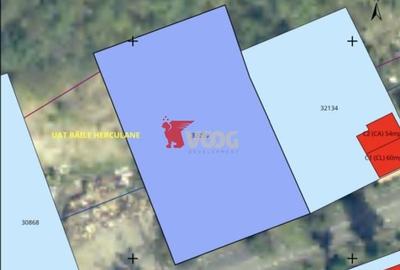 Teren Construcții intravilan de 1660 mp, în Băile Herculane - 2