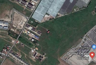 Teren de 12094 mp, în Berceni - 2