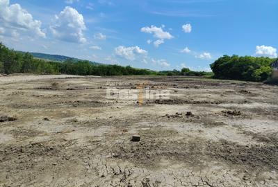 Teren Construcții intravilan de 655 mp, în Proselnici - 4