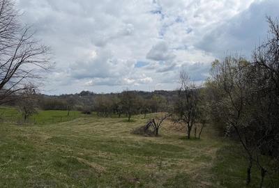 Teren de 10176 mp, în Slătioara - 5