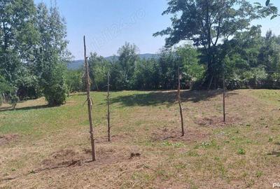 Teren de 2000 mp, în Pietriceaua - 6