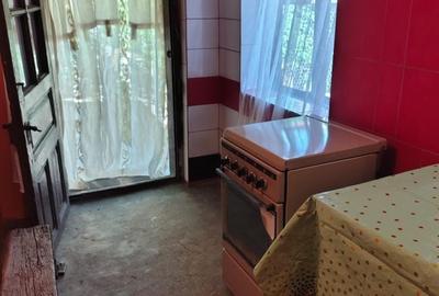 Casă cu 2 camere în Romanești - 8