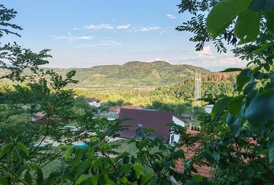 Casă cu 2 camere cu Teren 3600 Mp în Bejan - 1
