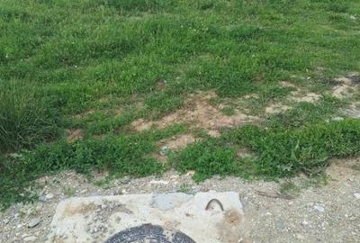 Teren Construcții intravilan de 500 mp, în Teiș - 3