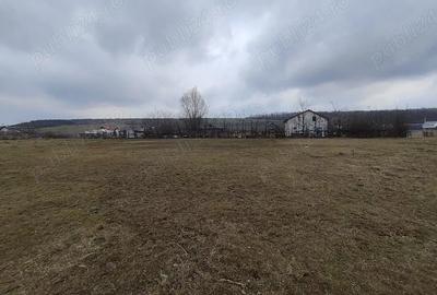 Teren de 1100 mp, în Mogoșești - 4