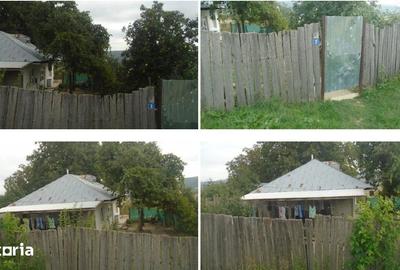 Casă cu 3 camere cu Teren 3487 Mp în Tănăsoaia