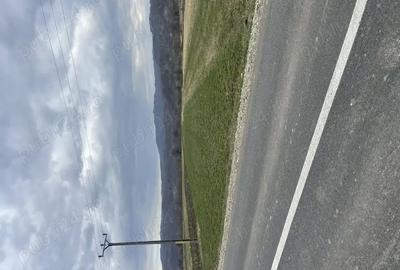 Teren de 3145 mp, în Mănăstirea Cașin - 5
