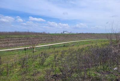 Teren agricol intravilan de 40000 mp, în Prundu - 10