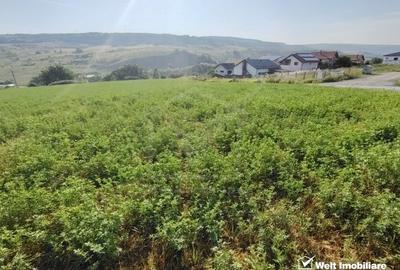 Teren agricol intravilan de 7092 mp, în Corușu - 2