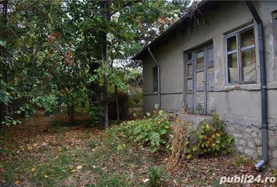 Teren de 7000 mp, în Ulmeni