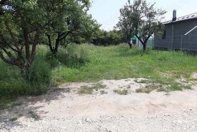 Teren de 500 mp, în Vedea - 4