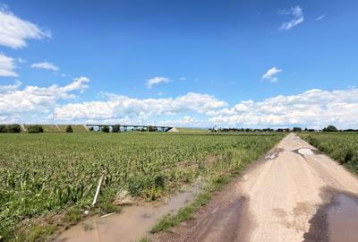 Teren agricol extravilan de 11671 mp, în Ozun - 7