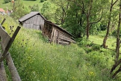 Teren de 4000 mp, în Băișoara - 3