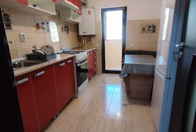 Apartament cu 2 camere decomandat în Valea Lupului - 4