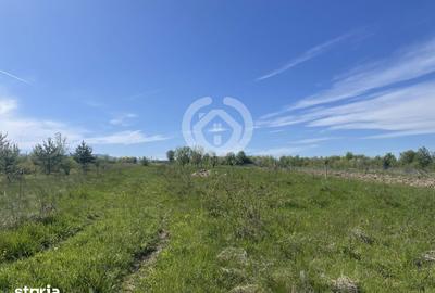 Teren de 1200 mp, în Poplaca - 2