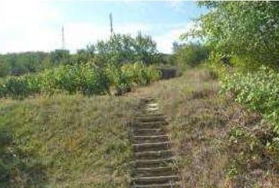 Teren agricol extravilan de 3000 mp, în Aiud - 6