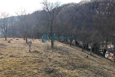 Teren Construcții intravilan de 5041.41015625 mp, în Voineasa - 9