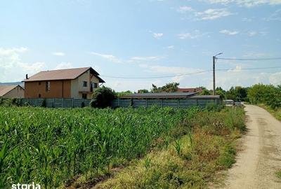 Teren de 4500 mp, în Central
