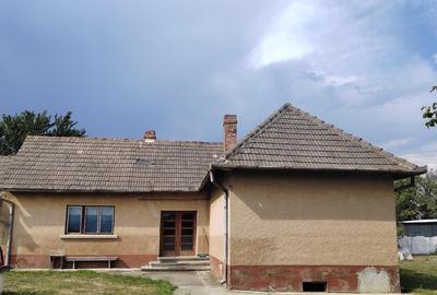 Casă cu 3 camere cu Teren 1800 Mp în Hălchiu - 1