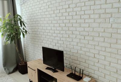 Apartament cu 2 camere semidecomandat, mobilat în Baba Novac - 4