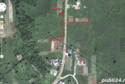 Teren de 1500 mp, în Stejaru - 1