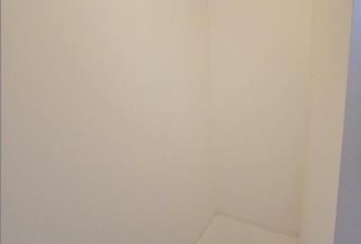 Apartament cu 3 camere decomandat, mobilat în Nerva Traian - 22