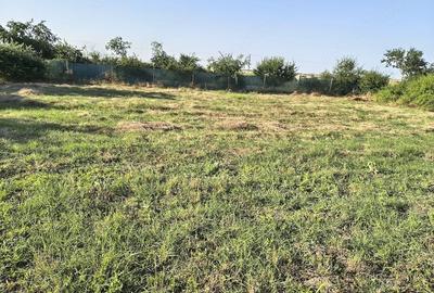 Casă cu Teren 1050 Mp în Pecineaga - 4