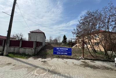 Teren Construcții intravilan de 1000 mp, în Dragomirești-Vale - 3