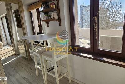 Apartament cu 3 camere, mobilat în Parcul Carol - 8