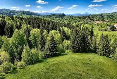 Casă individuală cu 3 camere cu Teren 1000 Mp în Bran - 7