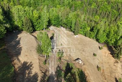 Teren Construcții extravilan de 18000 mp, în Exterior Sud - 37