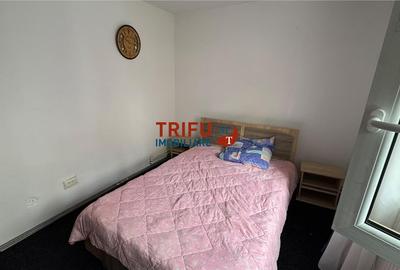 Apartament cu 2 camere semidecomandat în Cetate - 5