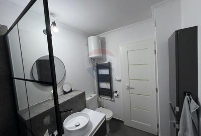 Apartament cu 3 camere decomandat, mobilat în Rovine - 11