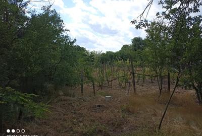 Casă individuală cu 2 camere cu Teren 1865 Mp în Hârsești - 15