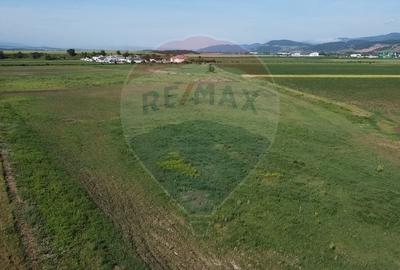 Teren Construcții intravilan de 39500 mp, în Vințu de Jos - 5