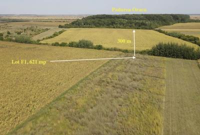 Teren agricol extravilan de 621 mp, în Corbeanca - 1