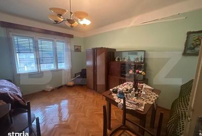 Casă cu 4 camere cu Teren 6197 Mp în Micula - 9