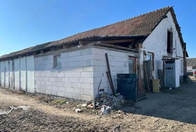 Teren de 700 mp, în Ileni - 4