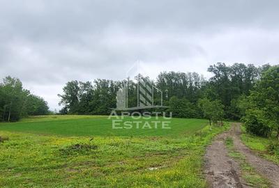 Teren de 8600 mp, în Buteni