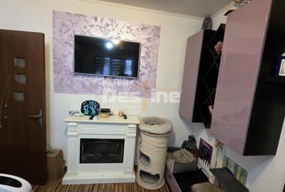 Apartament cu 2 camere semidecomandat, mobilat în Valea Rosie - 13
