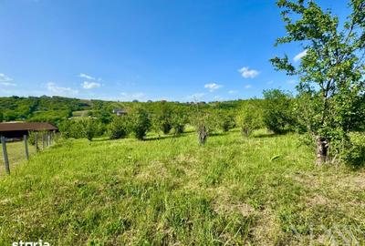 Teren de 3245 mp, în Dealuri Oradea