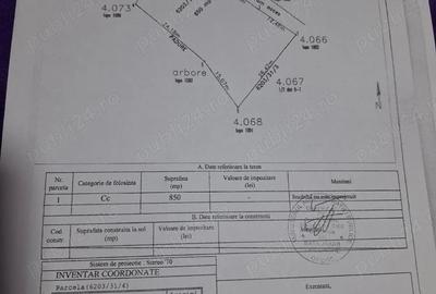 Teren de 850 mp, în Vlădeni - 3