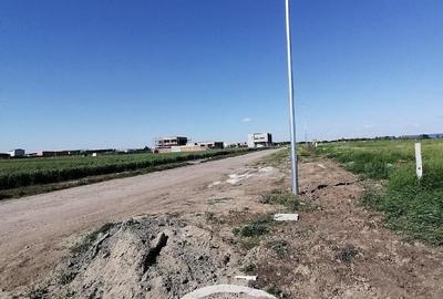 Teren de 649 mp, în Torontalului