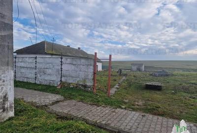 Teren Construcții intravilan de 4500 mp, în Cogealac - 5