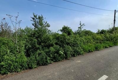 Teren Construcții intravilan de 3300 mp, în Vlădiceasca - 11