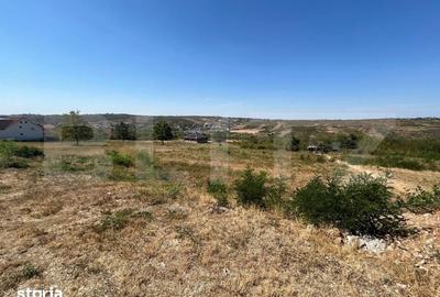 Teren de 9995 mp, în Paleu