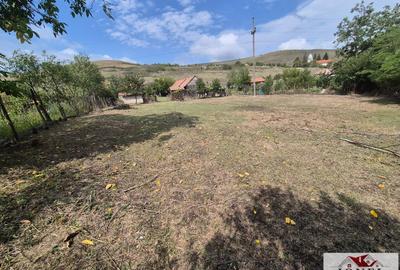 Casă individuală cu 3 camere cu Teren 1700 Mp în Henig - 9